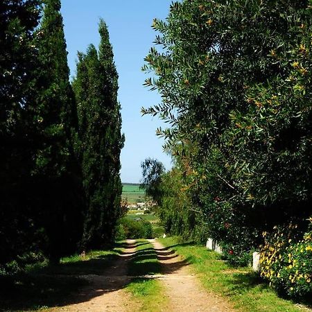 Vale Do Guizo: Casa Poente On The Contryside, Close By The Sea. ألخيزور المظهر الخارجي الصورة