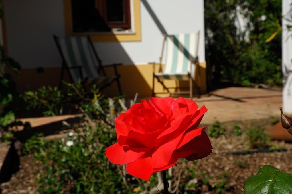 Vale Do Guizo: Casa Poente On The Contryside, Close By The Sea. ألخيزور المظهر الخارجي الصورة